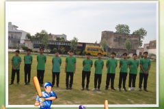 Inter House Cricket