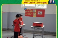 School Elections